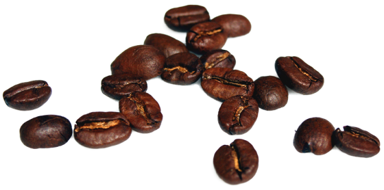 Espresso Bean Myths Debunked: What You Have to Know