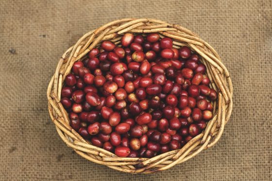 Espresso Beans 101: A Breakdown of Totally different Origins and Tastes