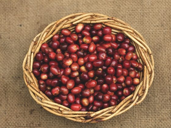 Espresso Beans 101: A Breakdown of Totally different Origins and Tastes