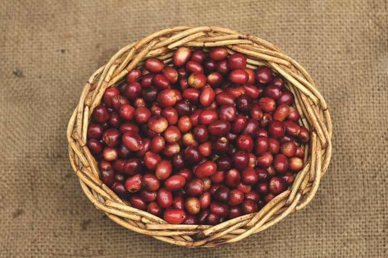 Espresso Beans 101: A Breakdown of Totally different Origins and Tastes