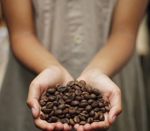 Discovering the Terroir of Espresso: How Origin Impacts Taste