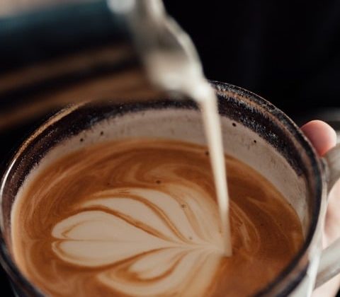 Exploring the Finest Espresso Vacationers on the Market: A Complete Assessment