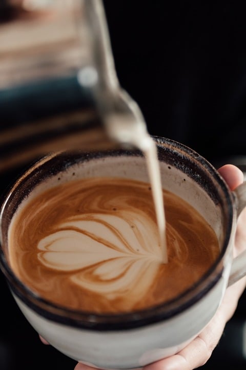 Exploring the Finest Espresso Vacationers on the Market: A Complete Assessment