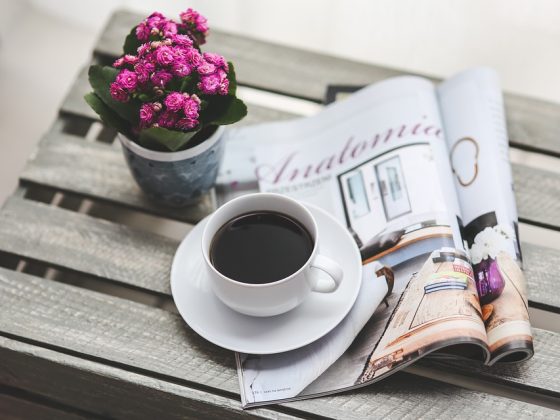 Exploring the Consolation of Starbucks Espresso Vacationers