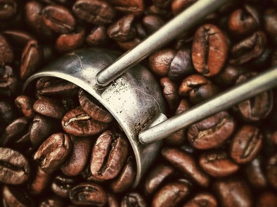 Exploring the Affect of Local weather and Geography on Espresso Bean Origins