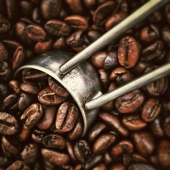 Exploring the Affect of Local weather and Geography on Espresso Bean Origins
