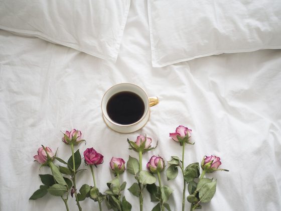 From Bean to Brew: A Journey Via Espresso Rising Areas