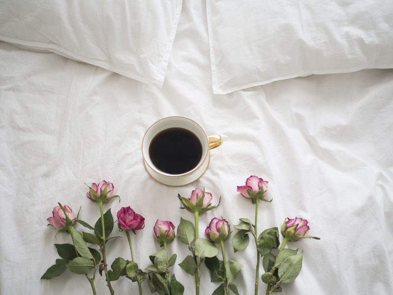 From Bean to Brew: A Journey Via Espresso Rising Areas