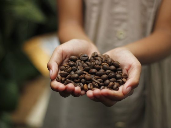 The Fascinating Journey of Espresso Beans from Farm to Cup