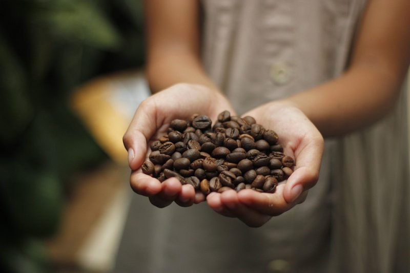 The Fascinating Journey of Espresso Beans from Farm to Cup