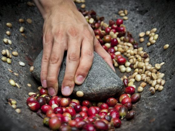 The Well being Advantages of Espresso Beans: Extra Than Only a Morning Decide-Me-Up