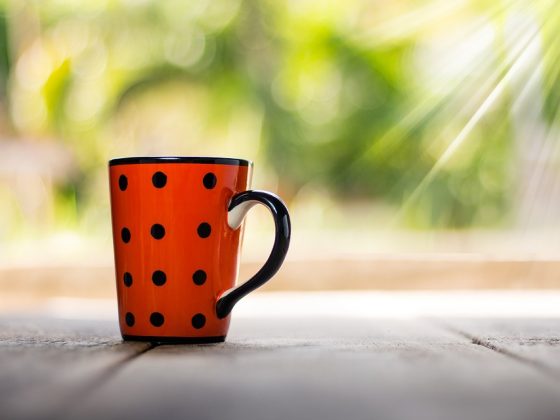 Why Starbucks Vacationers Are the Answer for Espresso Lovers Who Are At all times on the Transfer