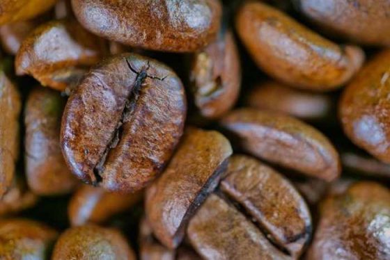 Why Espresso Beans Are Your New Finest Good friend for Well being!