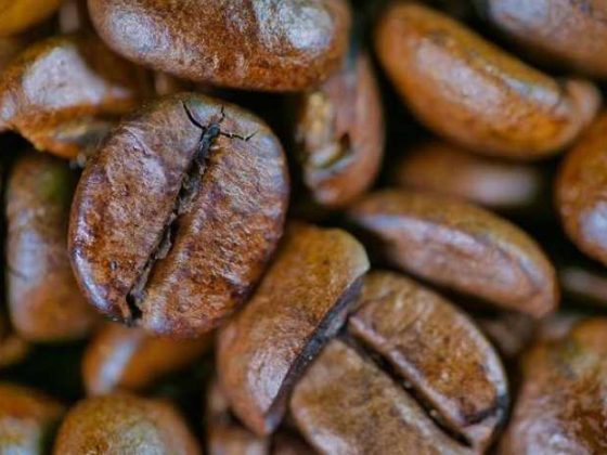 Why Espresso Beans Are Your New Finest Good friend for Well being!