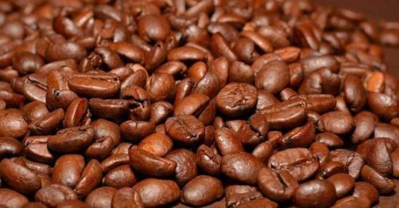 Elevate Your Brew: Must-Have Coffee Accessories You’ll Love!