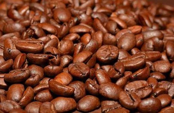 Elevate Your Brew: Must-Have Coffee Accessories You’ll Love!