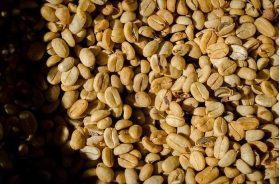 Perk Up Your Day: Superior Advantages of Espresso Beans!