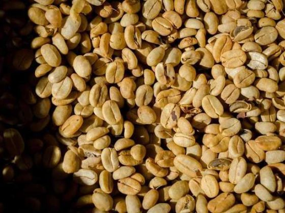 Perk Up Your Day: Superior Advantages of Espresso Beans!