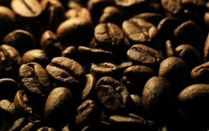 Exploring the World of Coffee Beans: Choose Your Brew!