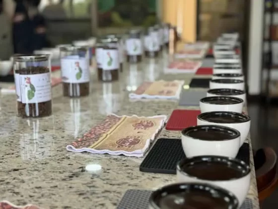 Costa Rica Espresso Report and Opinions: Espresso Evaluate