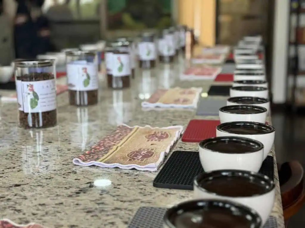 Costa Rica Espresso Report and Opinions: Espresso Evaluate