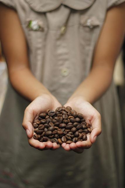 Exploring the Bean: Unique Coffee Regions You can’t Miss