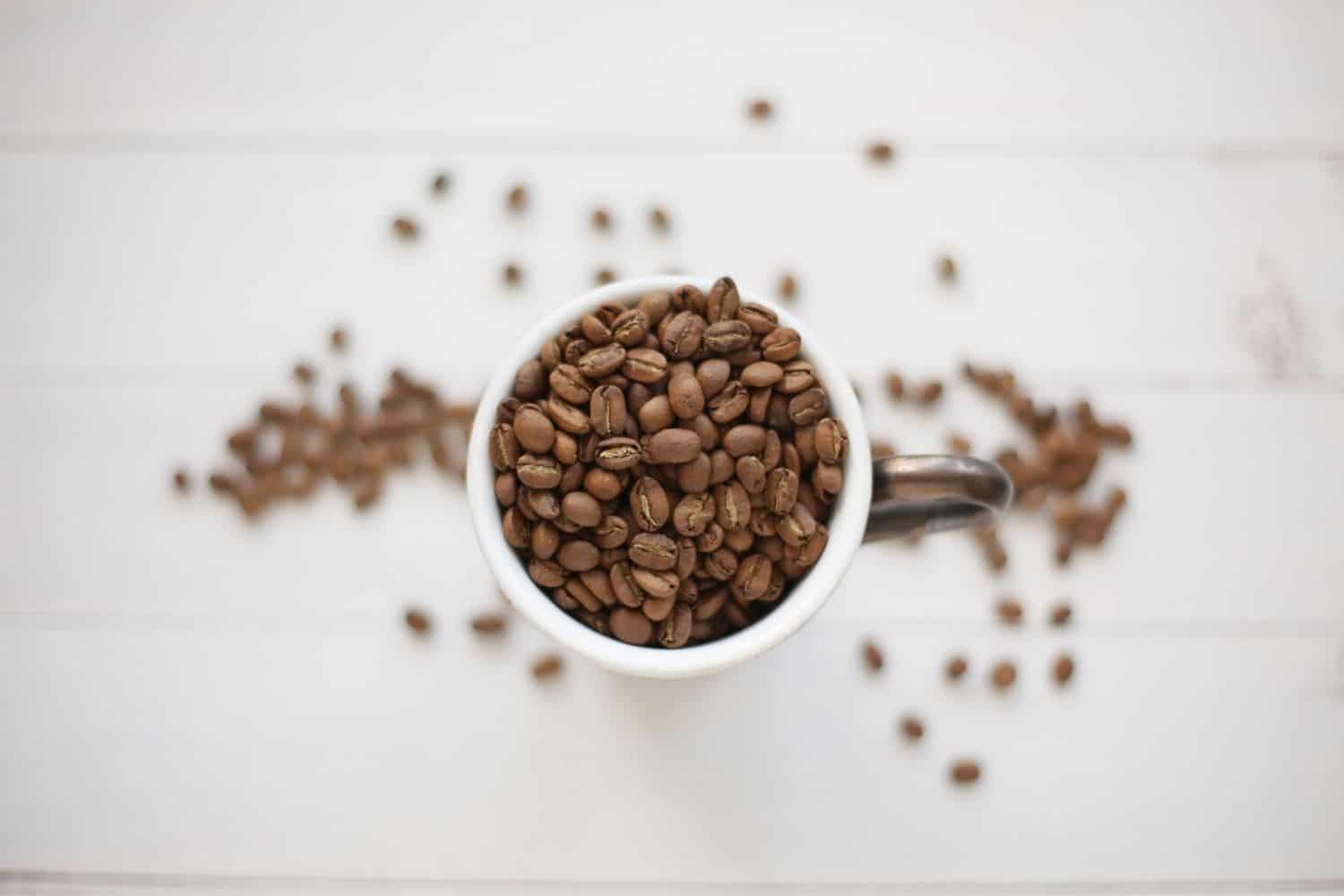 What Is Excelsa Espresso? Every part You Have to Know