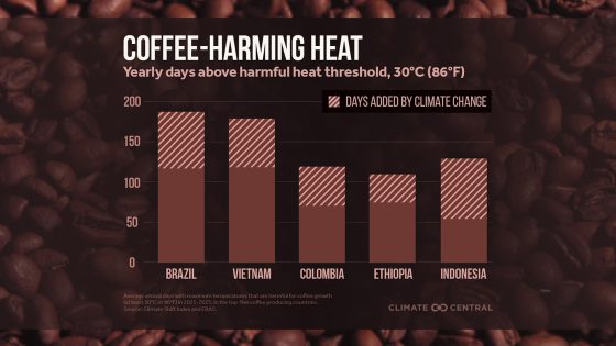The Espresso Belt Is Already Getting Too Scorching To Produce Espresso