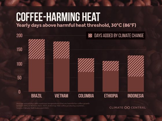 The Espresso Belt Is Already Getting Too Scorching To Produce Espresso