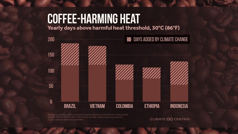 The Espresso Belt Is Already Getting Too Scorching To Produce Espresso