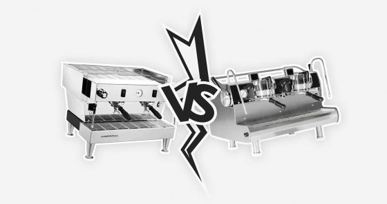 The Lion vs The MVP