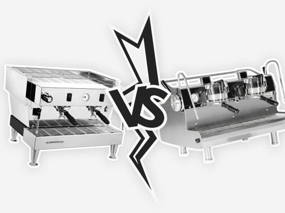 The Lion vs The MVP