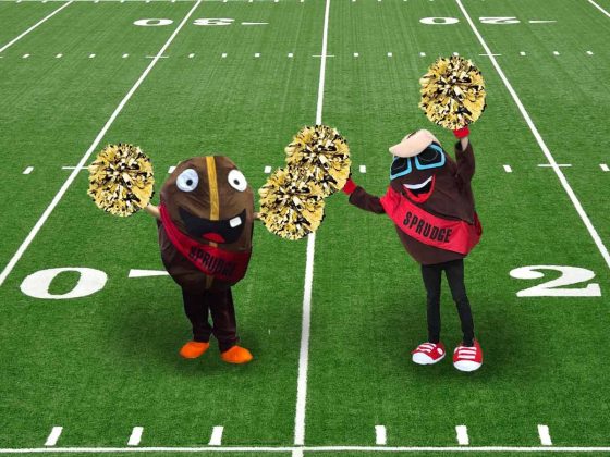 Who To Root For In Tremendous Bowl LX: A Espresso Comparability