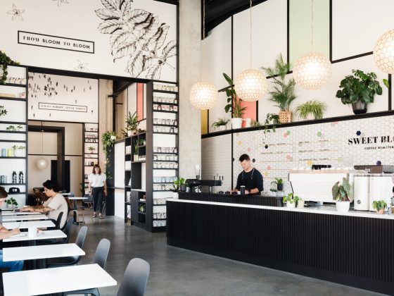 How Do You Inform If It is A Good Espresso Store In 2026?