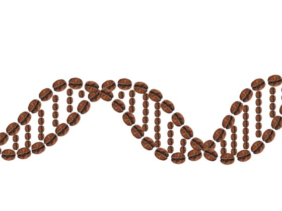 Is Espresso The New Key To Gene Enhancing And Most cancers Remedy?