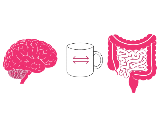 Espresso’s Constructive Results On The Intestine And The Mind Might Be Associated