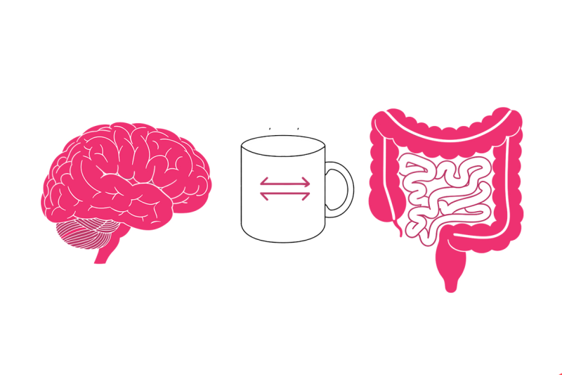 Espresso’s Constructive Results On The Intestine And The Mind Might Be Associated