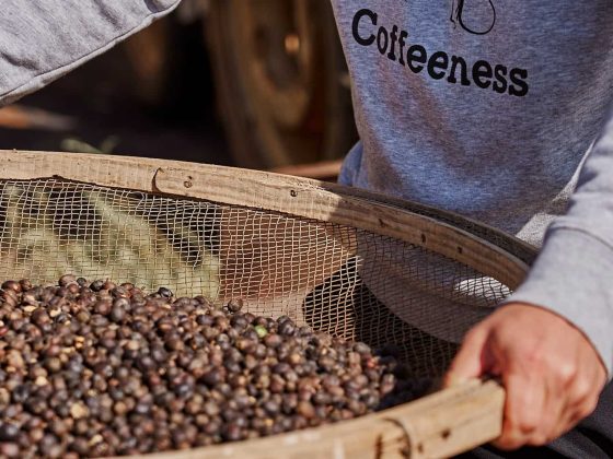 6 Greatest Locations to Purchase Espresso On-line in 2026