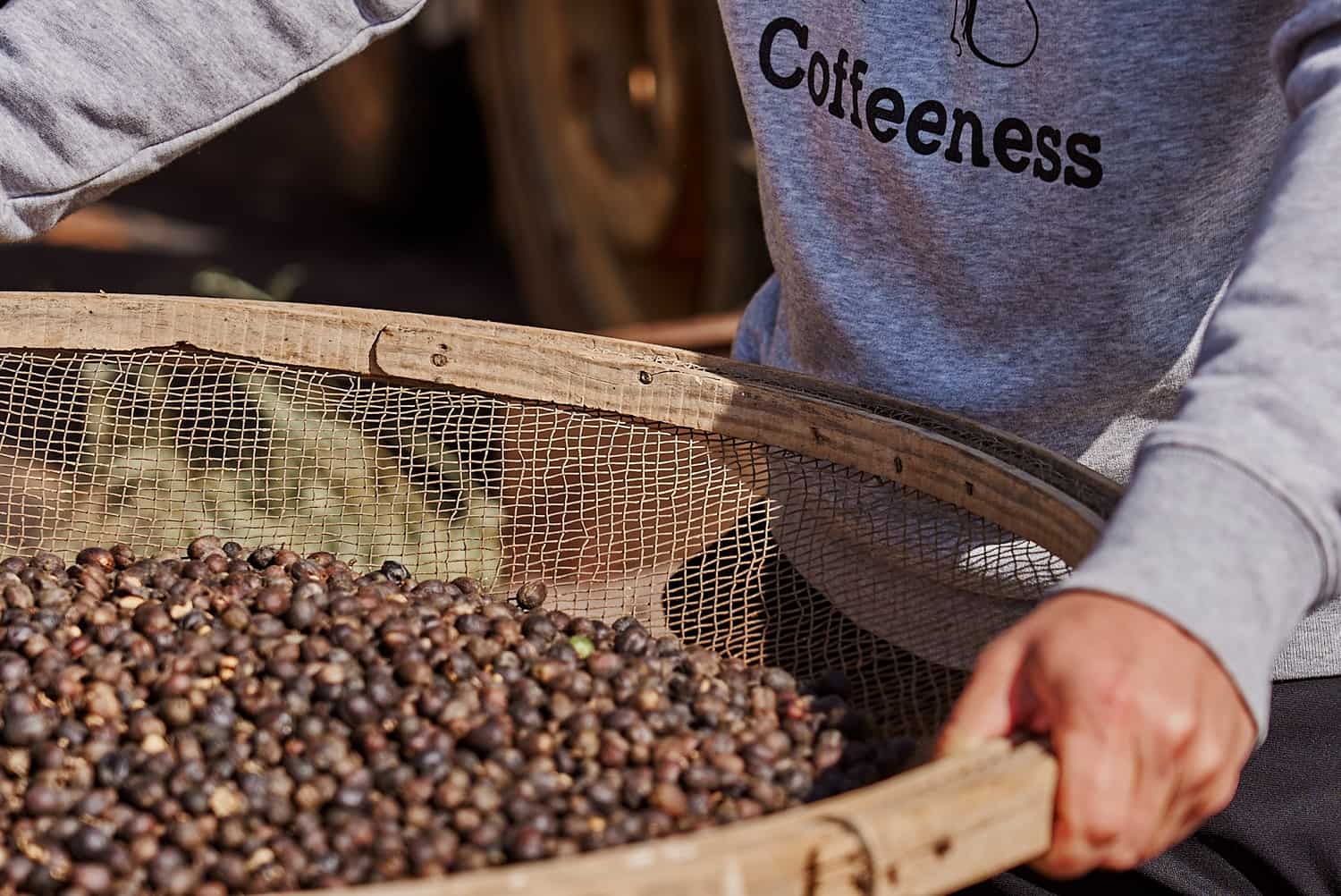 6 Greatest Locations to Purchase Espresso On-line in 2026