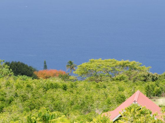 Magnitude 6.0 Earthquake Destroys Water Programs On Kona Espresso Farms