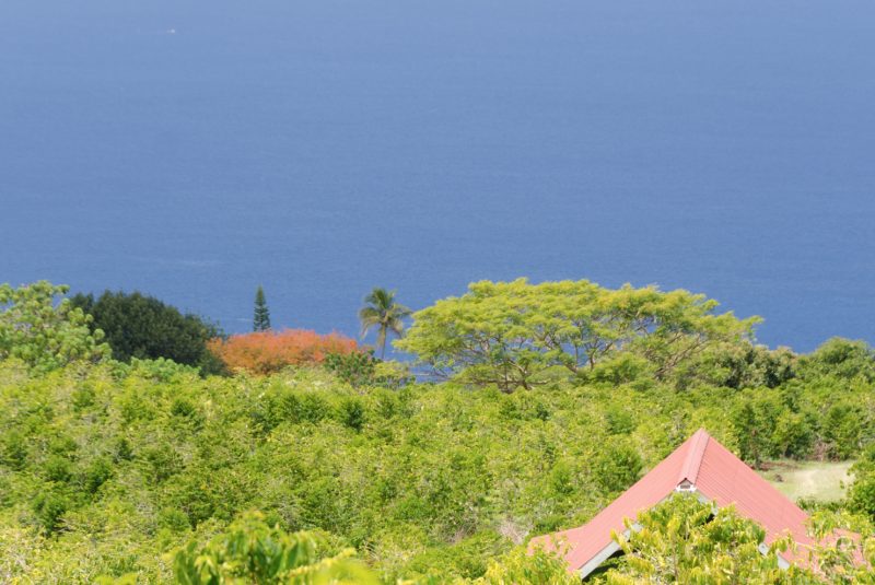 Magnitude 6.0 Earthquake Destroys Water Programs On Kona Espresso Farms