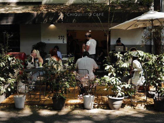 The Sprudge Information To Mexico Metropolis’s Condesa Neighborhood