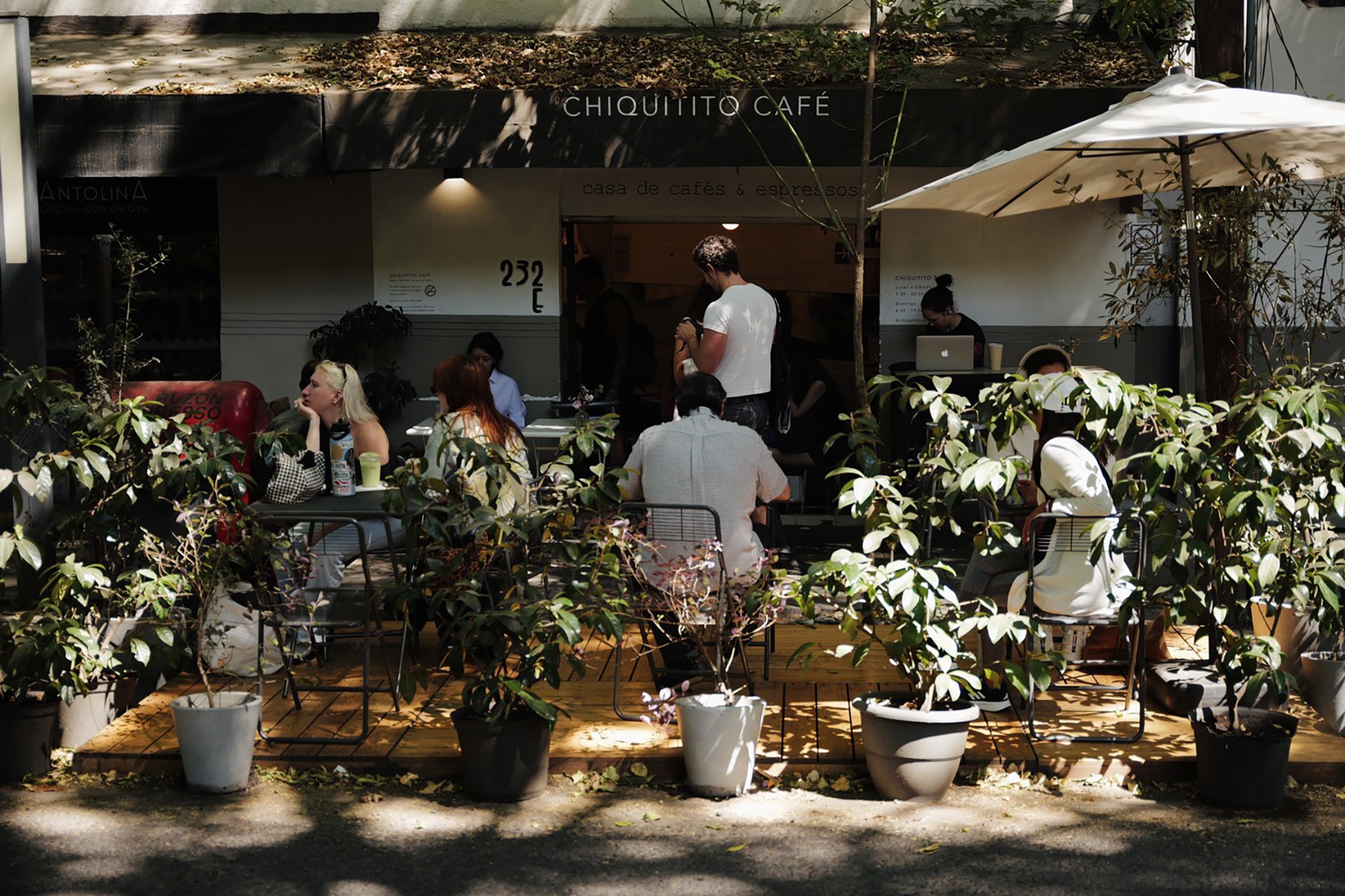 The Sprudge Information To Mexico Metropolis’s Condesa Neighborhood
