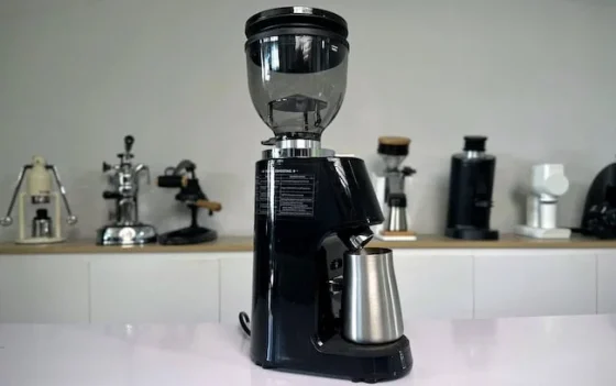 Shardor Grinder assessment: Janky, however Scrumptious