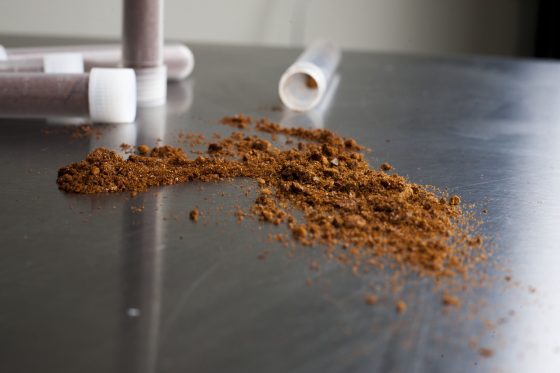 Filter Espresso Vs. Prompt: Which Helps You Age Higher?