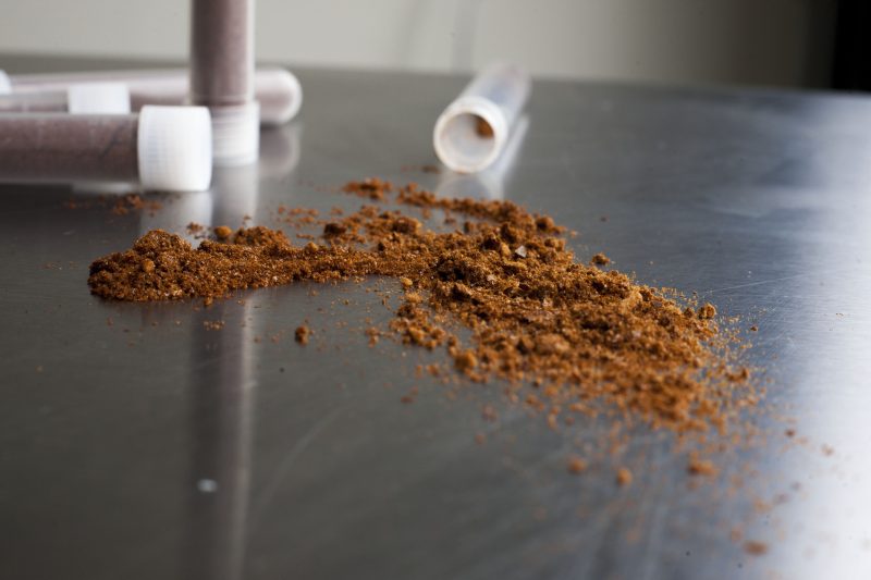 Filter Espresso Vs. Prompt: Which Helps You Age Higher?