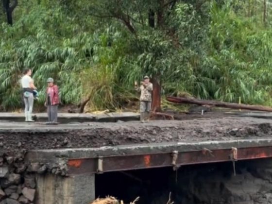 Hurricane Lala Devastates Espresso Farms On Ka’u