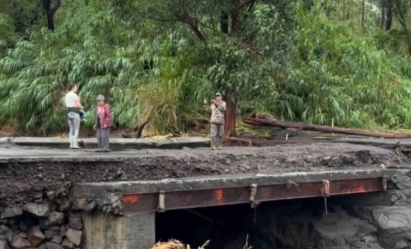 Hurricane Lala Devastates Espresso Farms On Ka’u