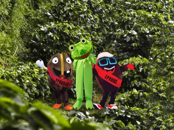 Behold The Espresso Frog | Sprudge Espresso