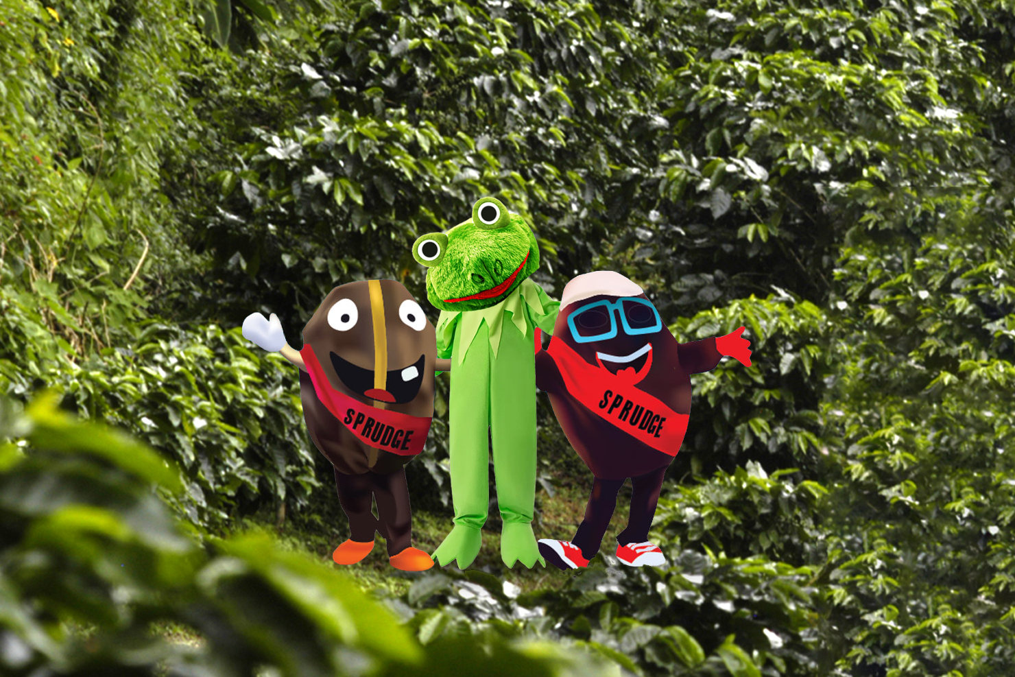 Behold The Espresso Frog | Sprudge Espresso